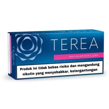 Heets Terea Blue Indonesian version in Dubai